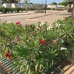 Mobil-home Soleia Mar Estang Siblu Village Front De Accès Privé Clim 2 Sdb 4*